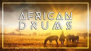 AFRICAN DRUM MUSIC • Tribal Beats • Shaman Dance • Unleash your Primal Self