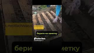 ОТЛИЧНЫЕ ГРЯДКИ ИЗ ПОДДОНОВ! #дача #огород #урожай #своимируками