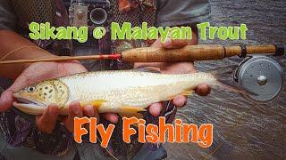 Sikang Kuala Berang - Malaysia Fly Fishing