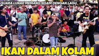 Adik Shahaddad Dari Klang | Meremang Mat Bila Layan Dia menyanyi Lagu Ikan Dalam Kolam"