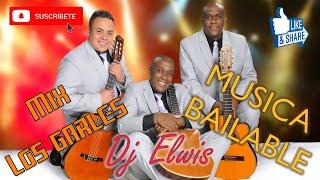 MIX LOS GARLES | Música Bailable | DJ ELWIS