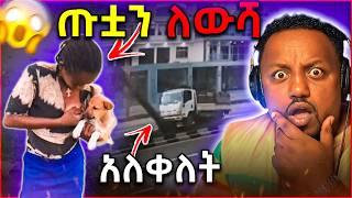  ጡቷን ለውሻ የምታጠባው ጉደኛ የሐበሻ ሴት|| ከሰው ካሳ የዘንባባ ካሳ የሚበልጥበት ጉደኛ ሀገር