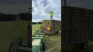 Baling Hay! We use an International Farmal 826 Tractor and a John Deere 348 baler! #farmer #farming