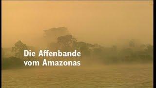 Die Affenbande vom Amazonas (HD)