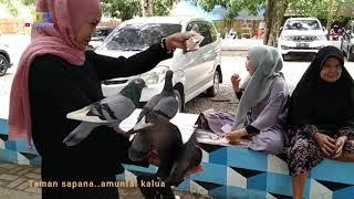 Taman sapana di kalua Amunta di kunjungi MUHYAR TV