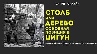 Основная позиция в ЦИГУН - Столб или Дерево | Начальная работа с Даньтянями