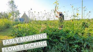 Picking Flowers On My Flower Farm at 5am