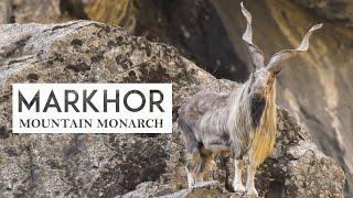 Markhor Documentary I Wildlife Documentary