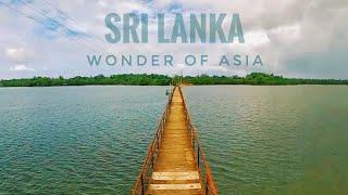 Sri Lanka - A Cinematic Travel Video | CEYLON TURTLE TALES