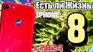 Почему iPhone 8 в 2024 году ХОРОШ?!