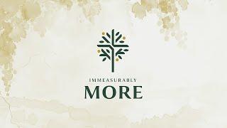 09/08/24 - Immeasurably More - DS Methodist Church Livestream