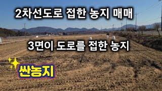 6090번) 2차선도로접 농지 창녕토지매매 3면이 도로를접한 창녕농지매매 땅선생 남지농지