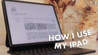 how i use my ipad as a student  note-taking, productivity, flashcards, second display, and more!