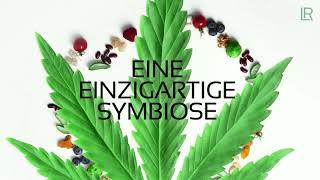 LR Cannabis Kapseln mit CBD, Kurkuma, Weihrauch • Cannaloe