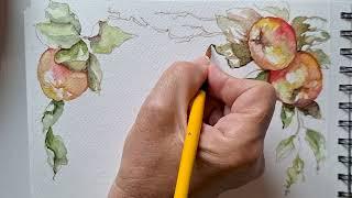 Acquerello con mele e sorpresa #apple #acquerello #paintingtutorial