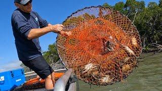 BIG CRAB CATCH | Catching heaps of MUD CRABS | Cooking Crabs