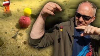 Ten przypon karpiowy nigdy nie zawiódł Piotra | Fox Carp fishing