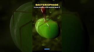 Bacteria vs Virus vs Bacteriophage  #shorts #scienceofinfinity #science