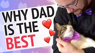 What makes a great dad cat - Cat's opinion