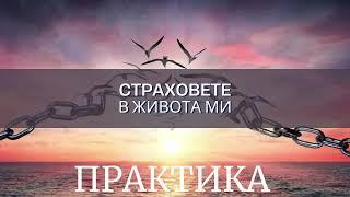 Практика - Страховете в живота ми