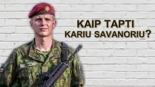 KASP infografika. 2 dalis - Kaip tapti kariu savanoriu?