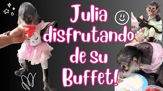 Hoy le damos de comer a la hermosa Julia,  un Buffet delicioso!