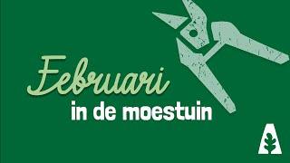 Stadstuinieren - Februari in de moestuin