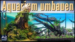 Aquarium komplett umbauen (vom Biotop zum Aquascape) | AquaOwner