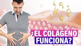 Mitos y Verdades sobre la ABSORCIÓN del COLÁGENO en tu cuerpo 