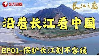 沿着长江看中国: 在通天河畔, 70岁老人用半辈子的时间种下了27000棵白杨树, 保护长江沿岸水土 #长江之恋 EP01｜FULL