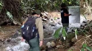 8 Endangered Slow Lorises Returned to Freedom in the Rainforest