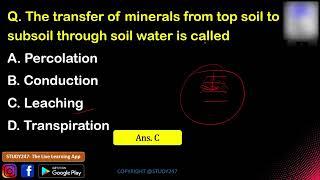 Indian Geography - Soil | Topic Wise Geography MCQs | JRBT, T-TET, TPSC | STUDY247