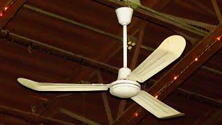 Ceiling Fans at the Brat Stop