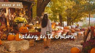 Quiet and Cozy Autumn Days in a Small Town | Holding on to Autumn | New England Fall | Slow Living