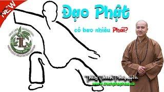 Đạo Phật có bao nhiêu Phái? (vấn đáp) - Thầy Thích Pháp Hòa