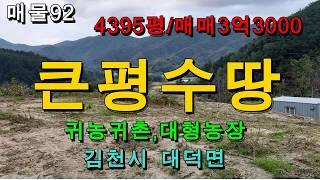 김천토지 김천땅/김천시 대덕면/평수4395평/매매3억3000만원/저렴한 시골 큰땅