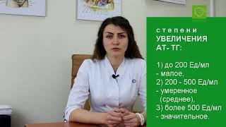 Антитела к щитовидной железе: АТ-ТПО и АТ-ТГ при аутоиммунном тиреоидите (АИТ)