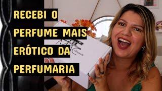 RECEBI O PERFUME IMPORTADO MAIS ERÓTICO DA PERFUMARIA E UM DECANTÃO