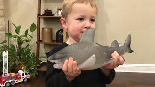 Ginormous Grow Shark | Magic Growing Animal Toy