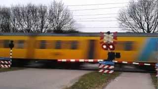 Stoptrein tussen Oisterwijk en Tilburg