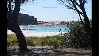 Cosy Corner North Campground Bay of Fires Free Camping