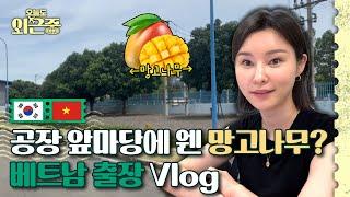 First Business Trip to Vietnam: Fresh Mangoes & Office Surprises! | BRB, Out of Office ep.17