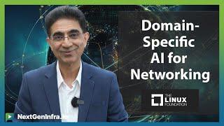 #AINetworking: Domain-Specific AI for Networking