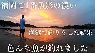 【福岡釣り】視聴者さんから教えて頂いた福岡で1番魚影の濃い◯越漁港で釣りをした結果…