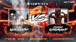 Gogi Knezevic VS Jozsef Kormany