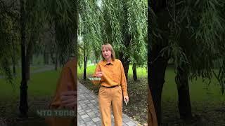 Может ли мессенджерах переписка быть доказательством в суде