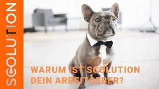 Was macht Scolution für dich aus? | Scolution als Arbeitgeber