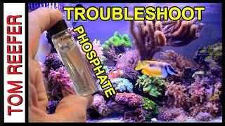 Reef Tank ( TROUBLESHOOTING YOUR PHOSPHATE ) To Low? To High? TIPS