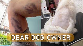 Dear dog owner - What really goes on in a grooming salon