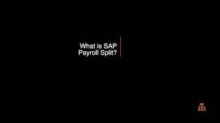 SAP Payroll Cluster and Payroll Splits